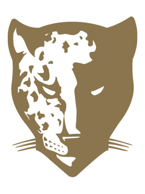 Stylized illustration of a jaguar's face, with one side showing spotted patterns and the other rendered in a solid, abstract design.