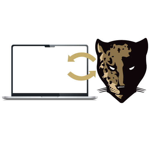 Hybrid Online