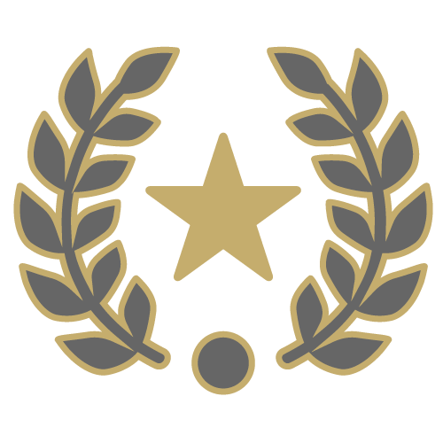 a star emblem with branches circling