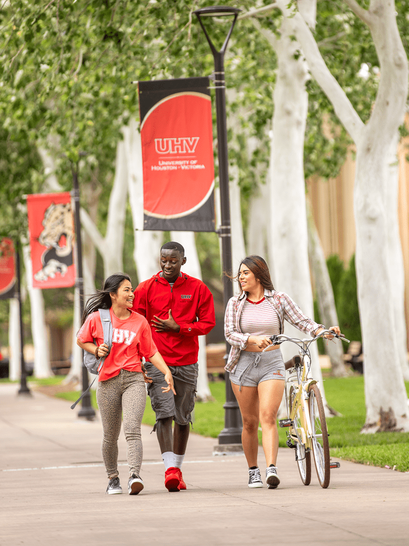 Three UHV students walking and talking on a tree-lined campus sidewalk, one student walking a bicycle