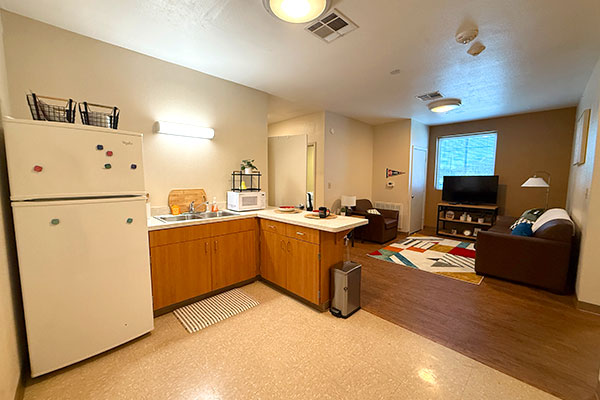 A view of the kitchen and common room area of one of the rooms in Jaguar Suites