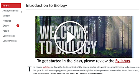 Canvas LMS Video
