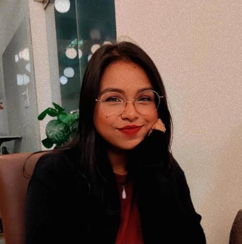 Tanzila Ismail Ema