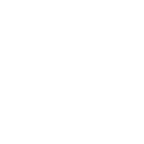 Class Ring Icon