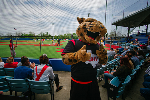 jaX baseball