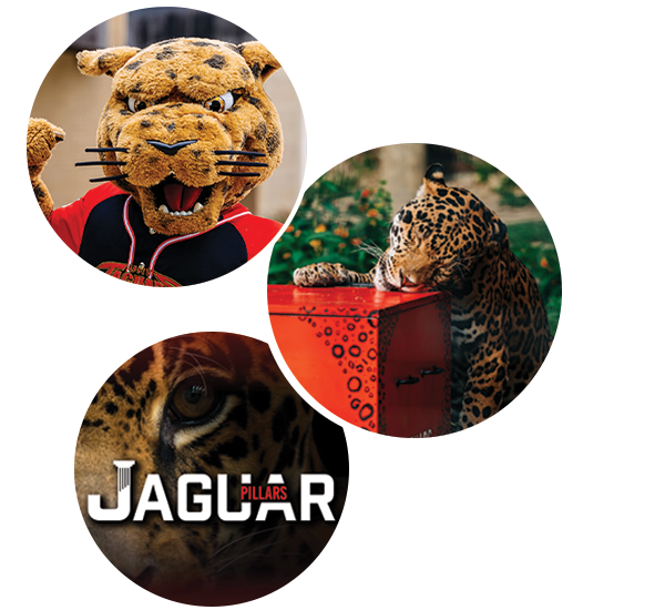 JAGUAR PILLARS: jaX, and a jaguar at the Victoria Zoo blessing UHV class rings